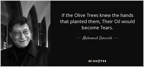 TOP 25 OLIVE TREES QUOTES | A-Z Quotes