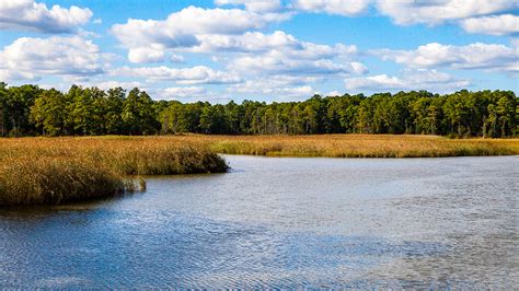 Colonial Parkway | The Cultural Landscape Foundation