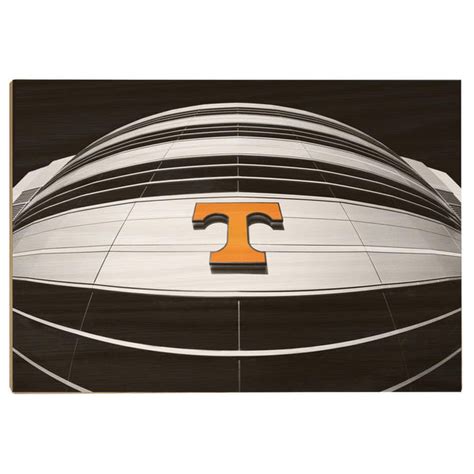 Tennessee Volunteers - Ultimate Power T - Vol Wall Art