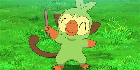 Pokemon: All The Grass-Starters Ranked By Cuteness