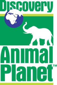 Discovery Animal Planet Logo PNG Vector (AI) Free Download