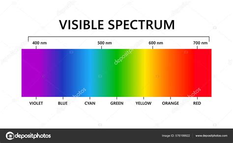 Visible Light Spectrum Electromagnetic Visible Color Spectrum Human Eye Vector Stock Vector by ...