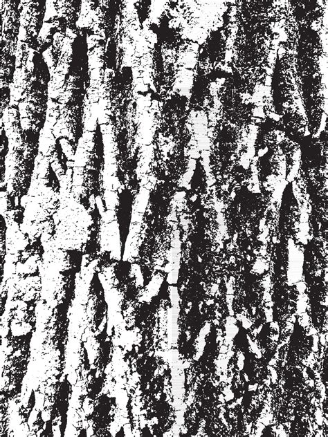 Grunge tree bark texture. Distressed overlay texture. Black and white vector texture 3613129 ...