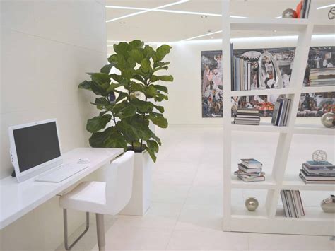 How To Incorporate Biophilic Office Design Elements Into Your Current ...