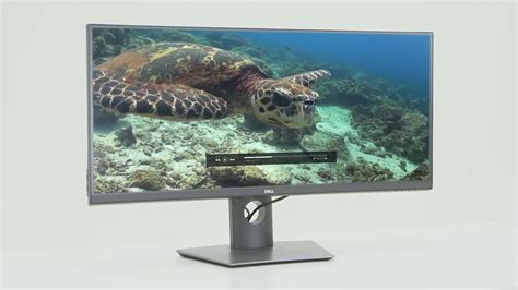 Dell 34 Curved Monitor: P3418HW | Dell United States