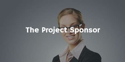 The Project Sponsor - On-line Project Management Simulations | AbleSim