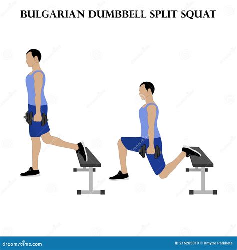 Bulgarian Dumbbell Split Squat Exercise Strength Workout Vector ...