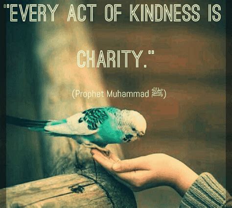 Kindness In Islam - 10 Best Islamic Quotes on Kindness