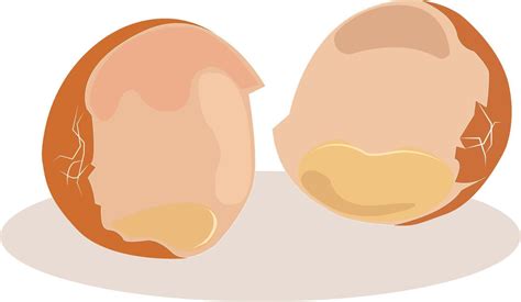 Egg shell, illustration, vector on white background. 13603684 Vector Art at Vecteezy