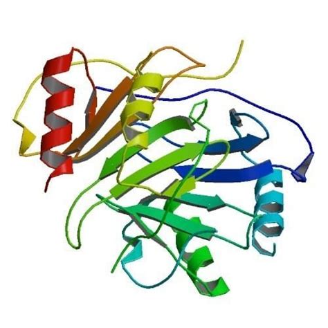 Prothrombin complex concentrate - Alchetron, the free social encyclopedia