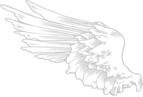 Wings angel 36641809 Vector Art at Vecteezy