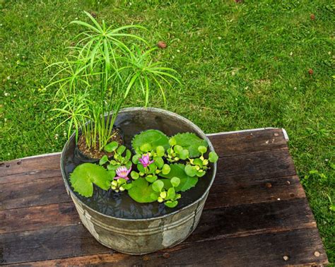 DIY Water Container Garden For A Stunning Patio