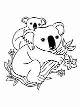 Koala Bear Coloring Pages Free Printable sketch template