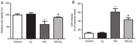 Results of the CCK-8 and LDH assays. Following treatment for 48 h, a... | Download Scientific ...