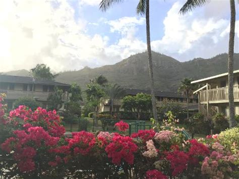 Book Kauai Inn in Lihue | Hotels.com