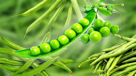 14 Types Of Green Beans You Should Get Familiar With