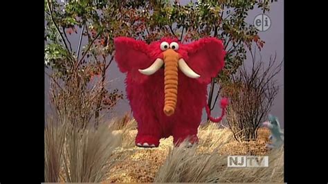 Elmo S World Wild Animals Channel - Get More Anythink's