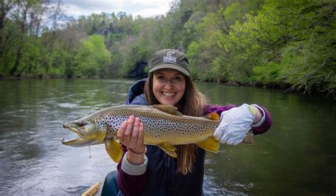 Watauga River Fly Fishing Guide | Trophy Brown Trout Fishing TN ...