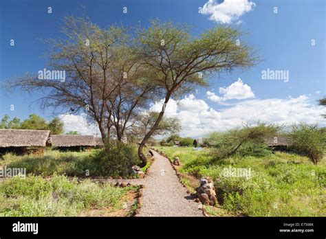 Kibo Safari Camp in Amboseli National Park in Kenya Stock Photo - Alamy