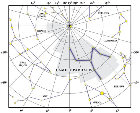 Constellation Camelopardalis: gift, map, coordinates and explanation