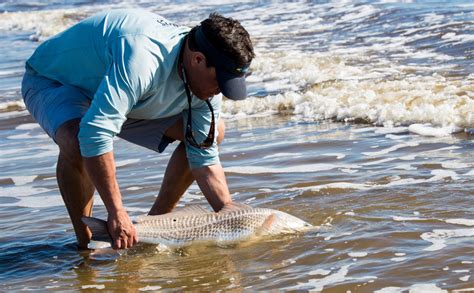 Oct Surf Fishing - Carolina Guide Service Fishing Charters