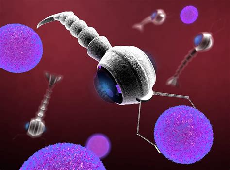 Medical Nanorobots Photograph by Paul Wootton/science Photo Library - Fine Art America