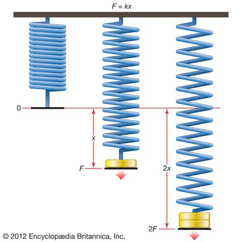 Elasticity | Definition, Examples, & Facts | Britannica