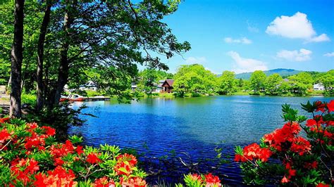 Peaceful Lake, forest, houses, flowers, peaceful, nature, trees, scenery, lake, HD wallpaper ...