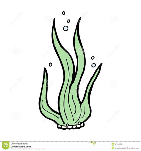 Seaweed Cartoon | Apk Fun | Easy animal drawings, Easy cartoon drawings, Underwater drawing