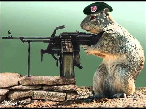 funny animals with guns - : r/funny