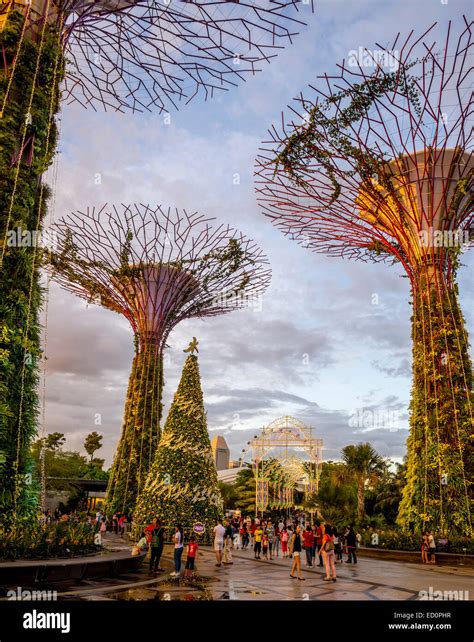 Singapore gardens by the bay tree hi-res stock photography and images ...