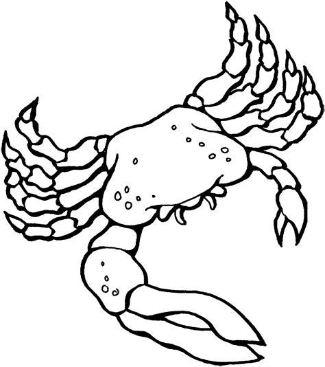 Free Printable Crab Coloring Pages For Kids - Animal Place