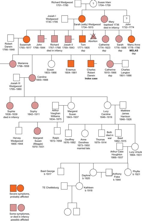 Family tree of Charles Darwin's (CD) relatives. Notes: First... | Download Scientific Diagram