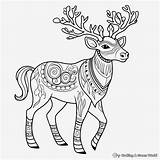Reindeer Coloring Pages  Free & Printable sketch template