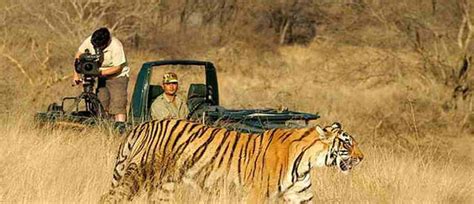 An Unforgettable Golden Triangle Tour with Ranthambore - India World ...