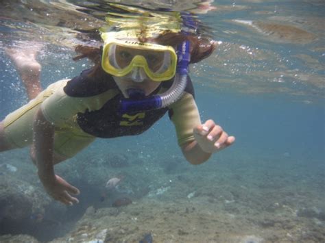 snorkeling-kauai | Kauai.com