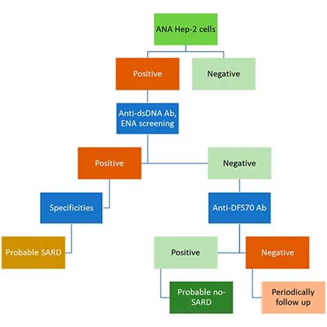 Antinuclear Antibody (ANA) IFA Reflex Blot Test in Delhi | GDIC