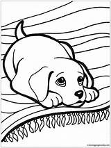 Cute Puppy Lying On Carpet Coloring Page  Free Printable Pages sketch template