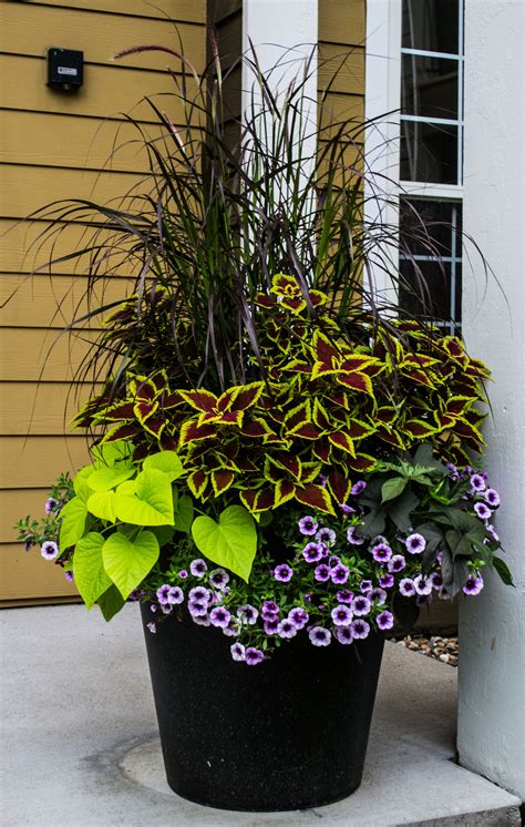 25 outdoor planters – Artofit