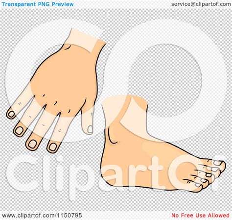 Cartoon of a Hand and Foot - Royalty Free Vector Clipart by BNP Design Studio #1150795