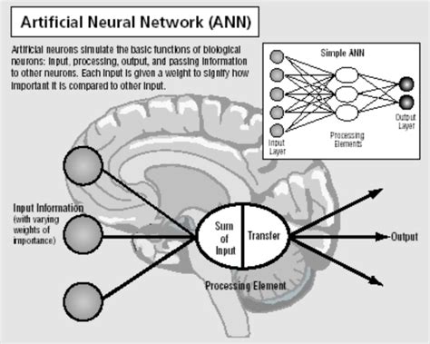 Artificial Neural Networks (Deep Learning) | by Jorge Leonel | Medium