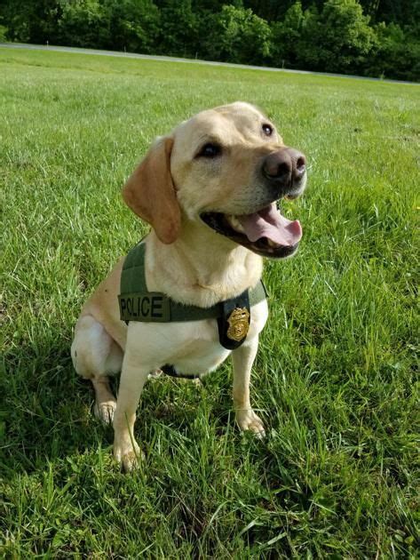 Trained to serve: Maryland's Natural Resoures Police K-9 Unit | Beagle ...