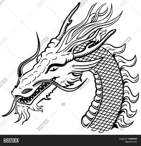 Dragon Head Black White Vector & Photo | Bigstock