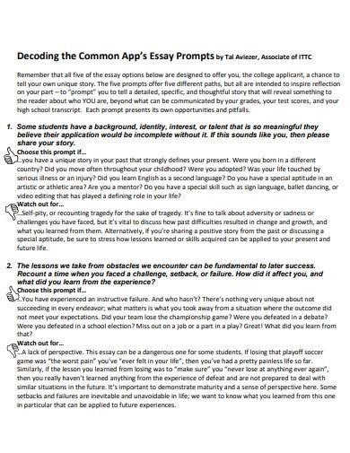 Common App Essay - 6+ Examples, Format, How to Make, Pdf