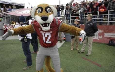 The Definitive Ranking Of The Mascots Of The Pac 12