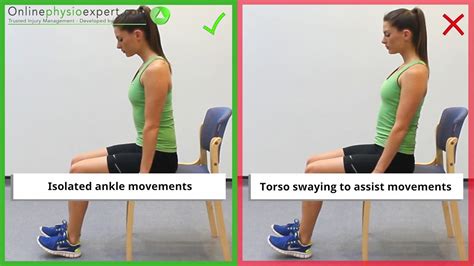 Seated Ankle Dorsiflexion Strengthening Exercise Tutorial (Level 1) - ONLINE PHYSIO EXERCISES ...