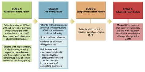 ACC/AHA Heart Failure Classification Review | Learn the Heart | Learn the Heart