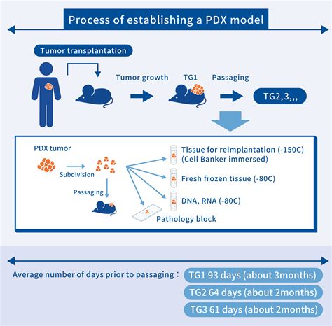 For Researchers | J-PDX Library