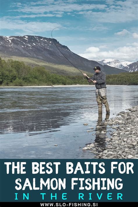 The Best Baits for Salmon Fishing in the River | Salmon fishing ...