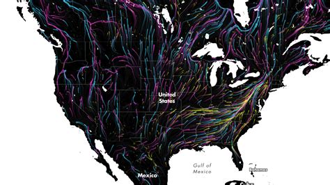 Beautiful map shows the future of animal migration